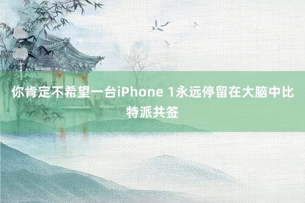 你肯定不希望一台iPhone 1永远停留在大脑中比特派共签