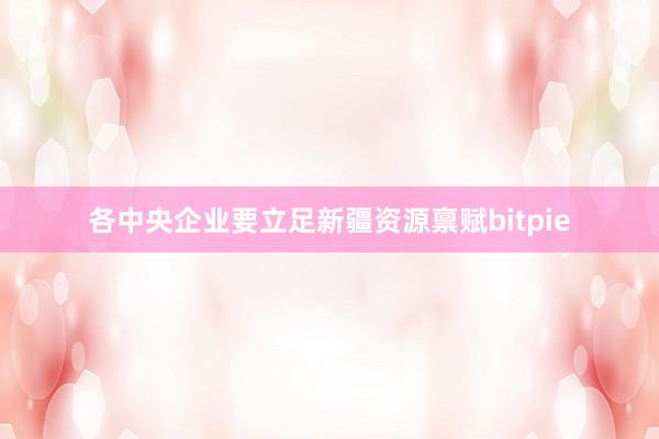 各中央企业要立足新疆资源禀赋bitpie