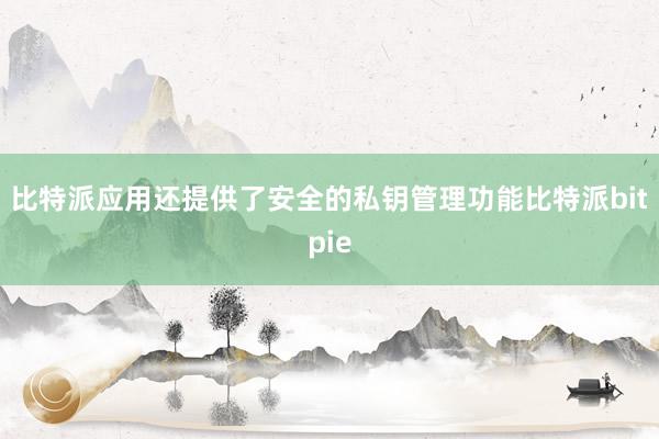 比特派应用还提供了安全的私钥管理功能比特派bitpie