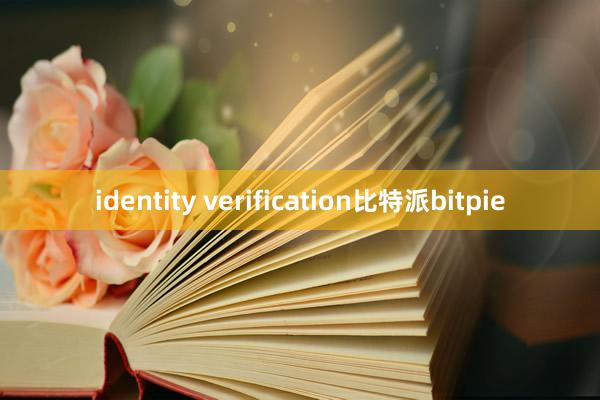 identity verification比特派bitpie