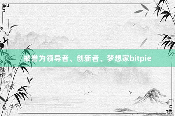 被誉为领导者、创新者、梦想家bitpie