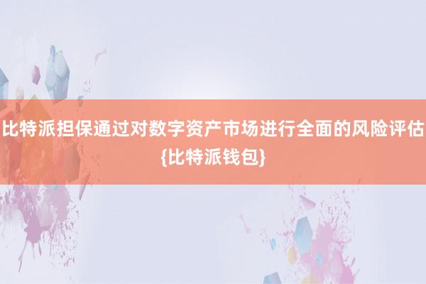 比特派担保通过对数字资产市场进行全面的风险评估{比特派钱包}