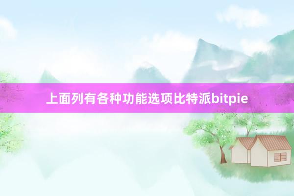 上面列有各种功能选项比特派bitpie