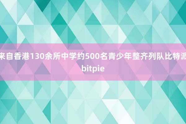 来自香港130余所中学约500名青少年整齐列队比特派bitpie