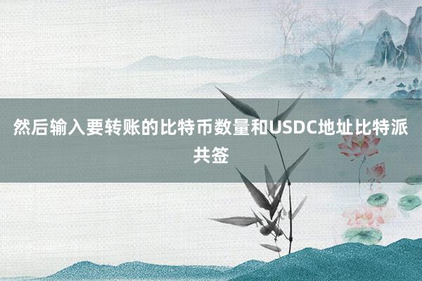 然后输入要转账的比特币数量和USDC地址比特派共签