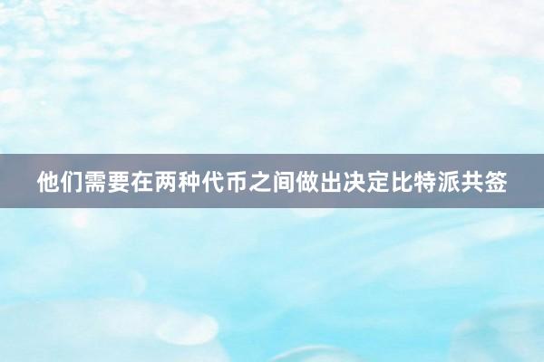 他们需要在两种代币之间做出决定比特派共签