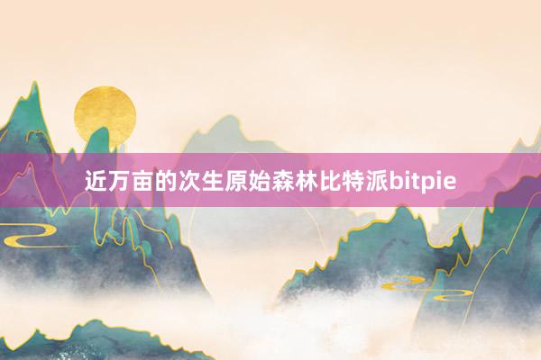 近万亩的次生原始森林比特派bitpie