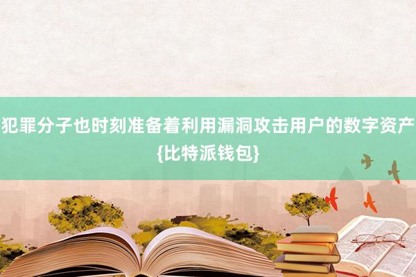 犯罪分子也时刻准备着利用漏洞攻击用户的数字资产{比特派钱包}