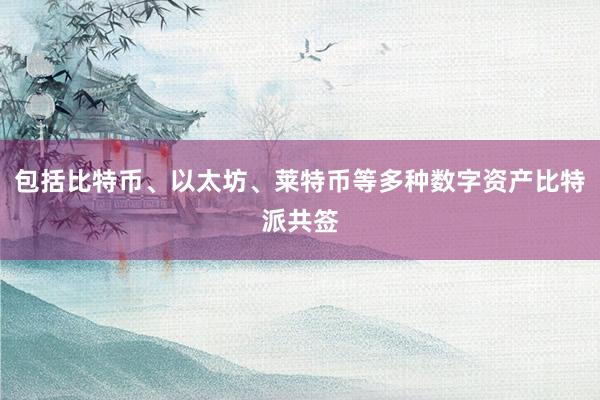 包括比特币、以太坊、莱特币等多种数字资产比特派共签