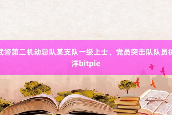 武警第二机动总队某支队一级上士、党员突击队队员徐洋bitpie