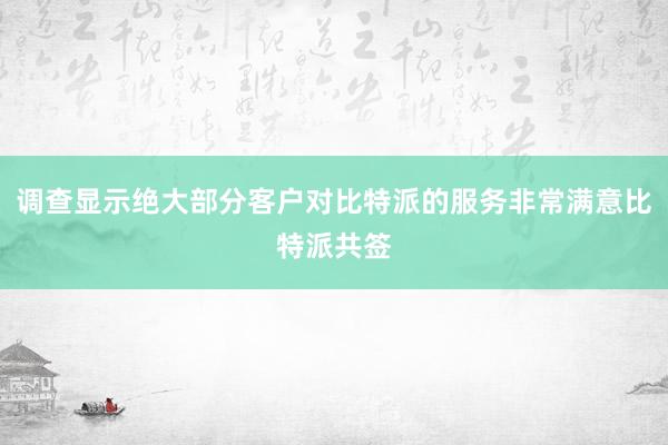 调查显示绝大部分客户对比特派的服务非常满意比特派共签