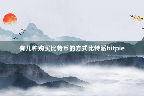 有几种购买比特币的方式比特派bitpie