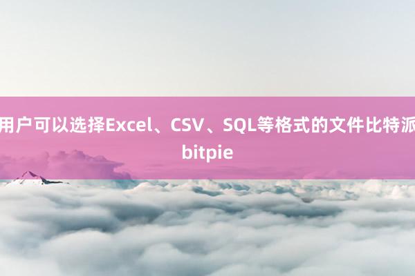 用户可以选择Excel、CSV、SQL等格式的文件比特派bitpie