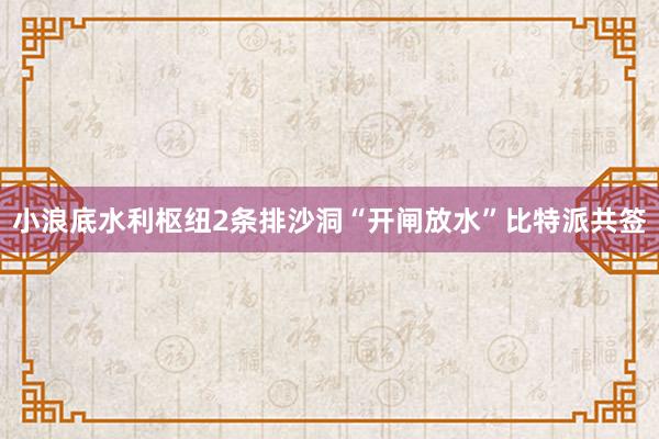 小浪底水利枢纽2条排沙洞“开闸放水”比特派共签