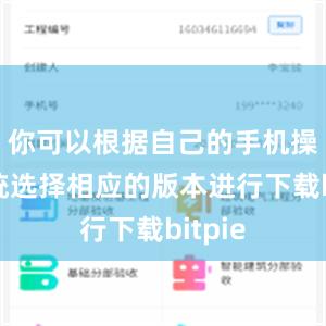 你可以根据自己的手机操作系统选择相应的版本进行下载bitpie