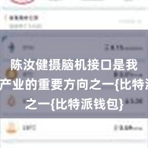 陈汝健摄脑机接口是我国未来产业的重要方向之一{比特派钱包}