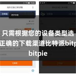 只需根据您的设备类型选择正确的下载渠道比特派bitpie