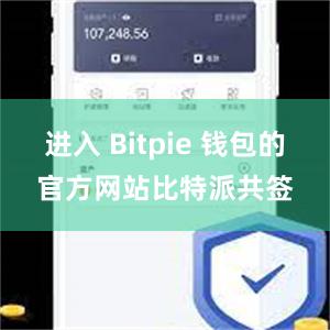 进入 Bitpie 钱包的官方网站比特派共签