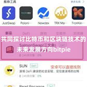 共同探讨比特币和区块链技术的未来发展方向bitpie