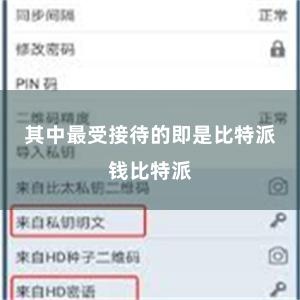 其中最受接待的即是比特派钱比特派